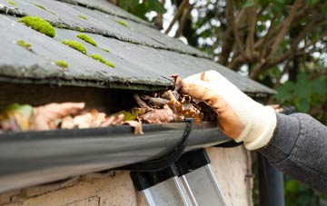 gutter cleaning Lyneal Wood, Shropshire